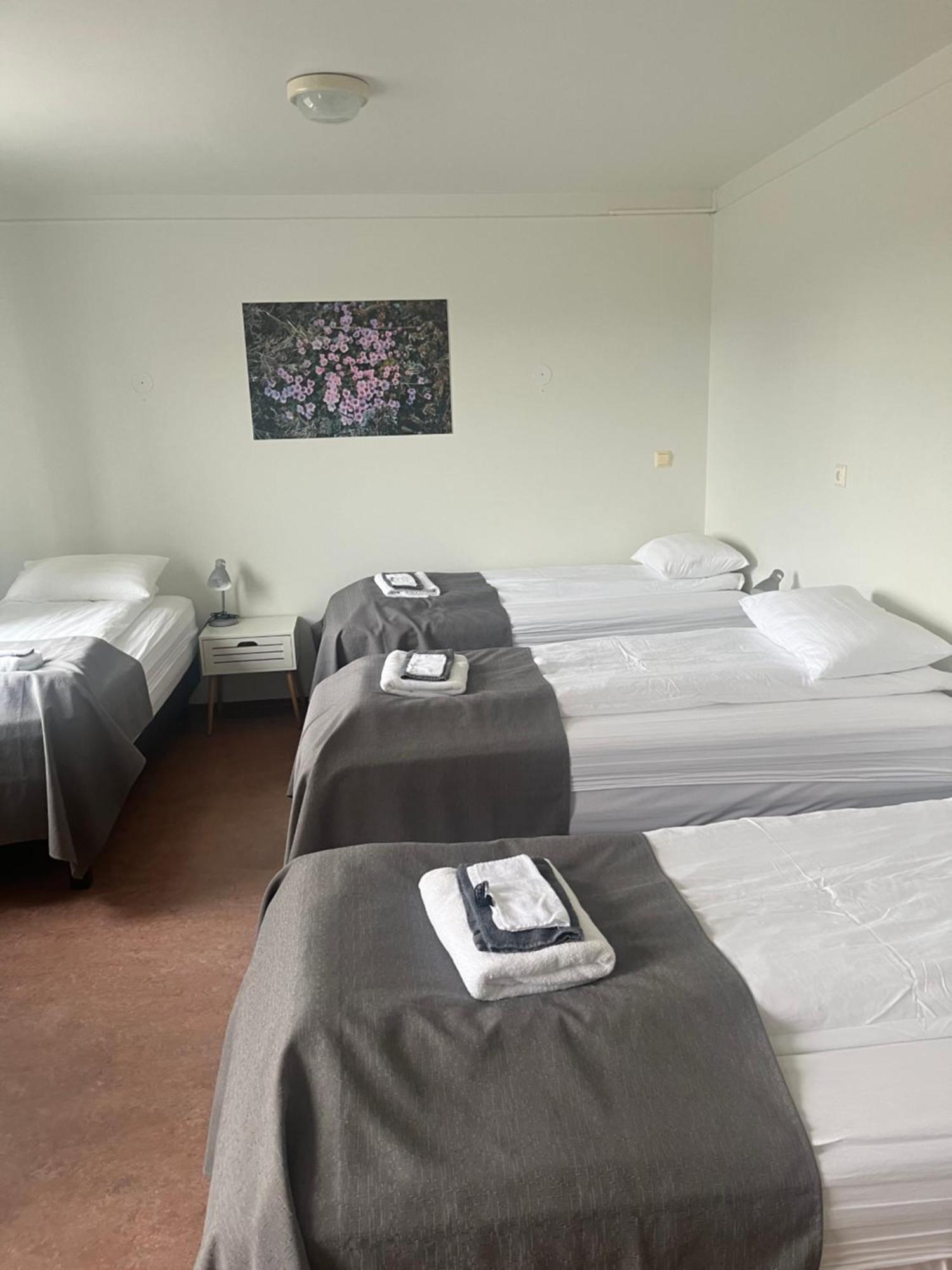 Eidavellir Apartments And Rooms Έγκιλσταδιρ Εξωτερικό φωτογραφία